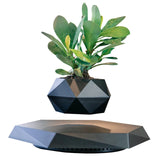 Levitation Plant Pot – A Futuristic Touch of Nature