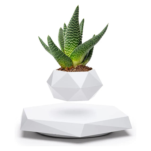 Levitation Plant Pot – A Futuristic Touch of Nature