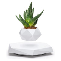 Levitation Plant Pot – A Futuristic Touch of Nature