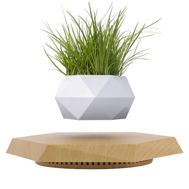 Levitation Plant Pot – A Futuristic Touch of Nature