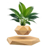 Levitation Plant Pot – A Futuristic Touch of Nature